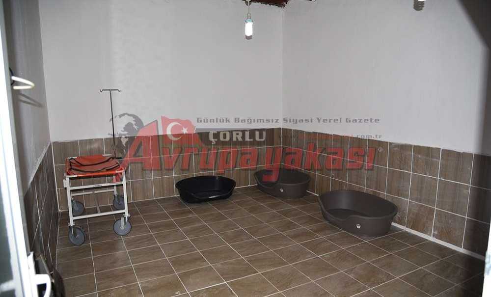 Çorlu Belediyesi Hayvan Severlerin Yüzünü Güldürdü