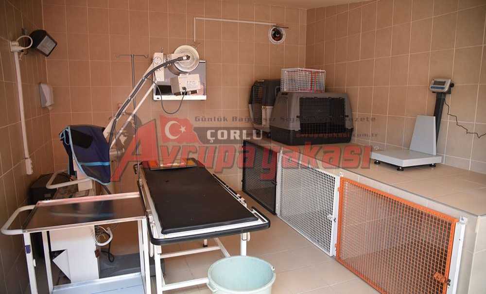 Çorlu Belediyesi Hayvan Severlerin Yüzünü Güldürdü