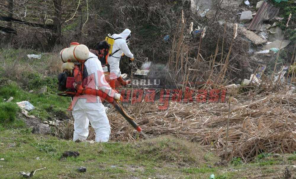 Bu Yıl İlaçlama Yapıldı Mı?