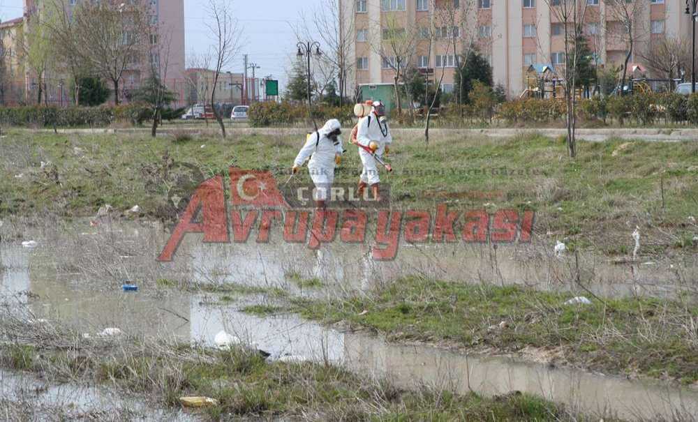 Bu Yıl İlaçlama Yapıldı Mı?