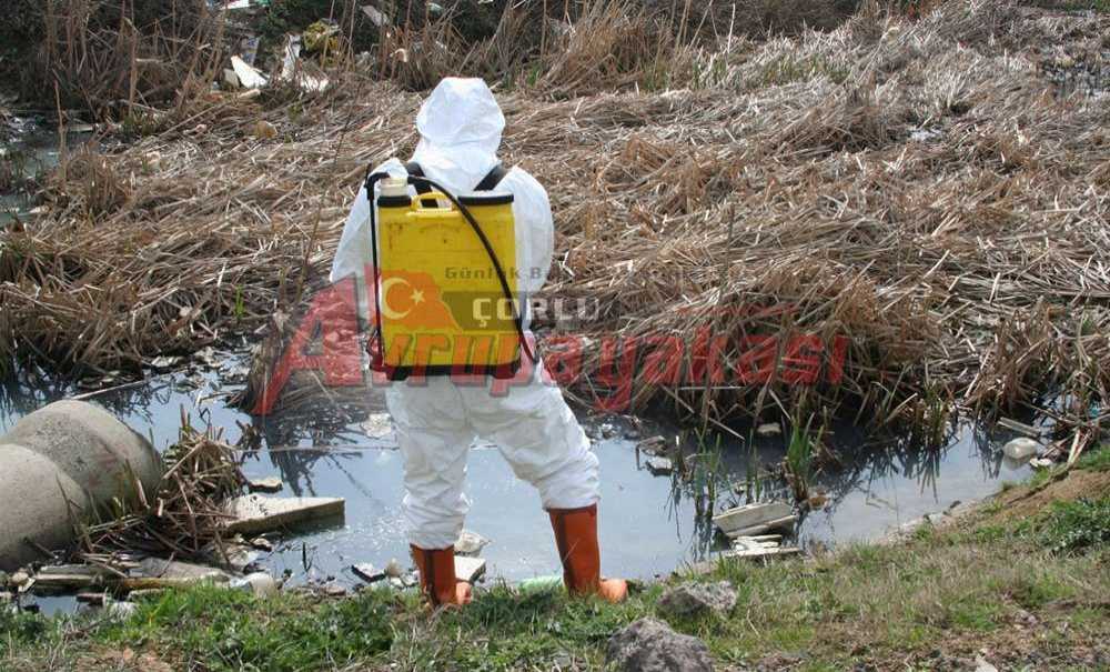 Bu Yıl İlaçlama Yapıldı Mı?