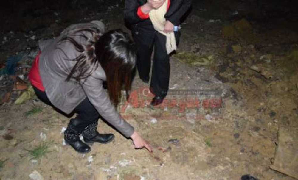 Hayvan Severlerden Gece Yarısı Baskını