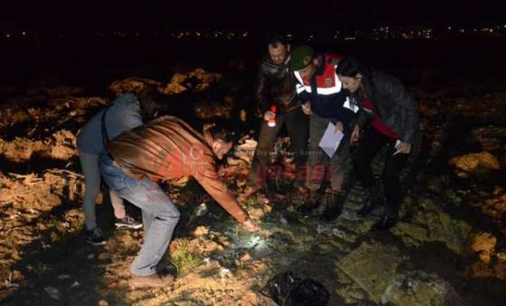 Hayvan Severlerden Gece Yarısı Baskını