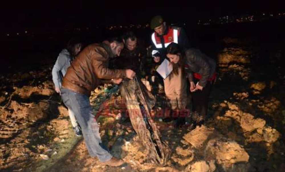 Hayvan Severlerden Gece Yarısı Baskını