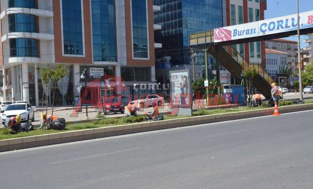 Büyükşehirden Yeşil Alanlara Bakım