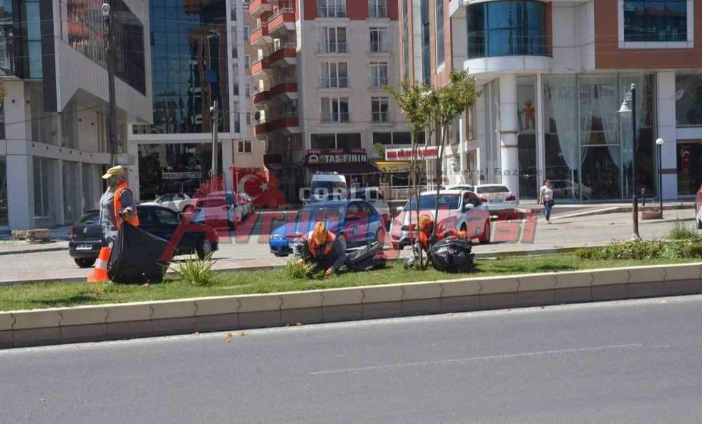 Büyükşehirden Yeşil Alanlara Bakım