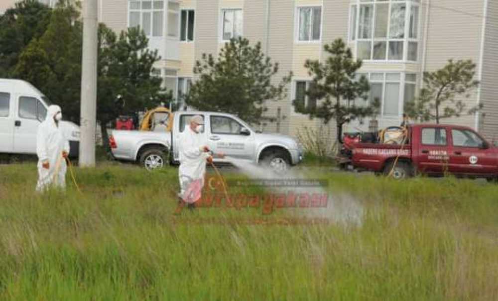 Çorlu Belediyesi Sivrisinek, Karasinek Ve Larva Mücadelesine Başladı