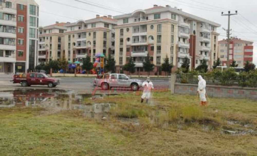Çorlu Belediyesi Sivrisinek, Karasinek Ve Larva Mücadelesine Başladı