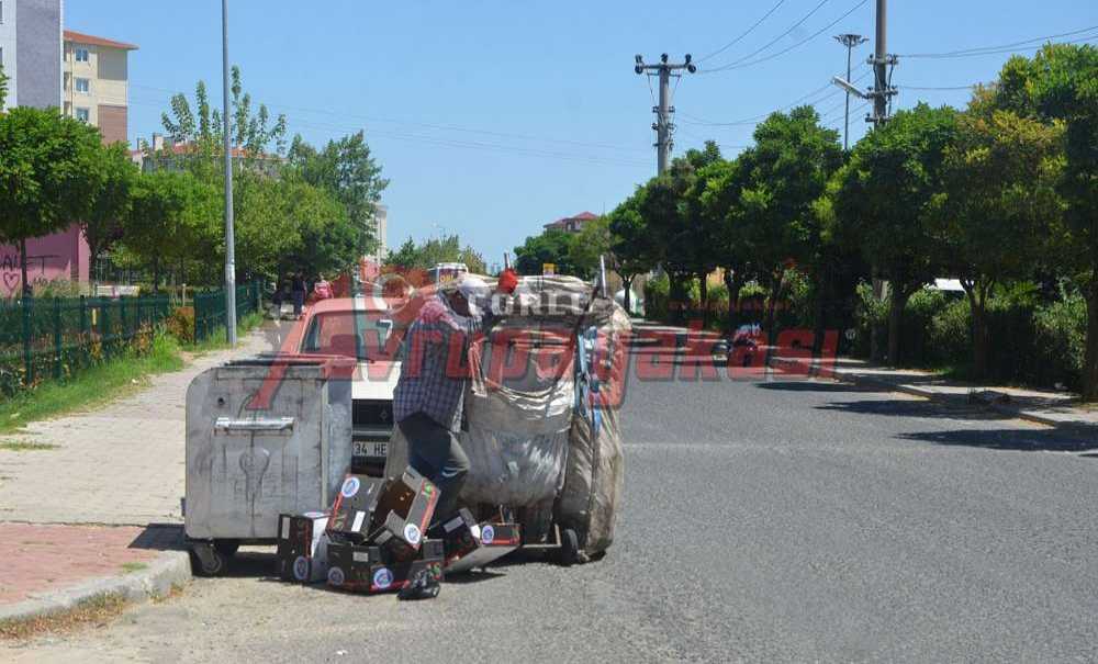 Çekçekçiler Kural Tanımıyor