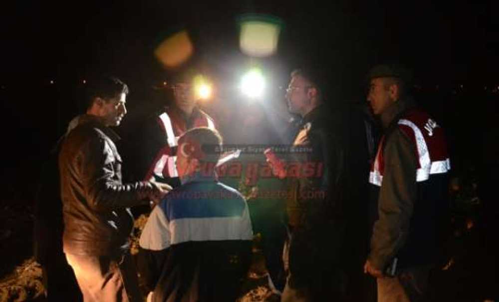 Köpek Katliamı İddiasına Soruşturma Başlatıldı