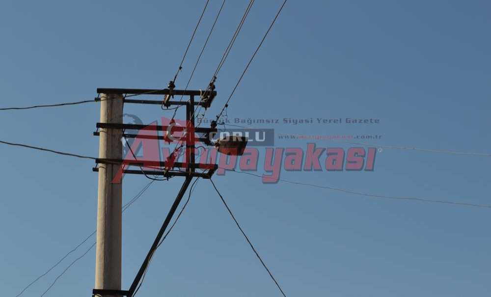 Şehir Eşkıyaları Elektrik Direklerini Hedef Tahtasına Çevirdi