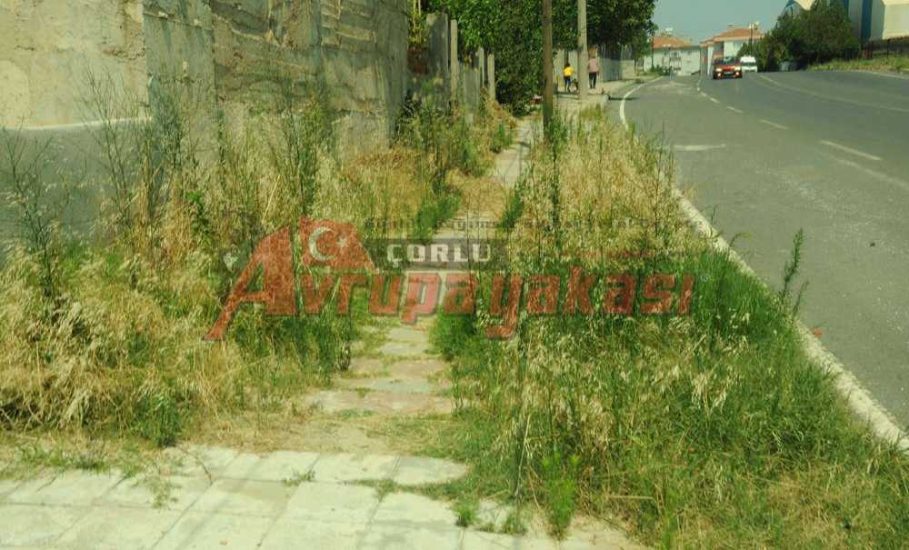 Kaldırımlarda Ki Bakımsızlık Tepki Çekiyor