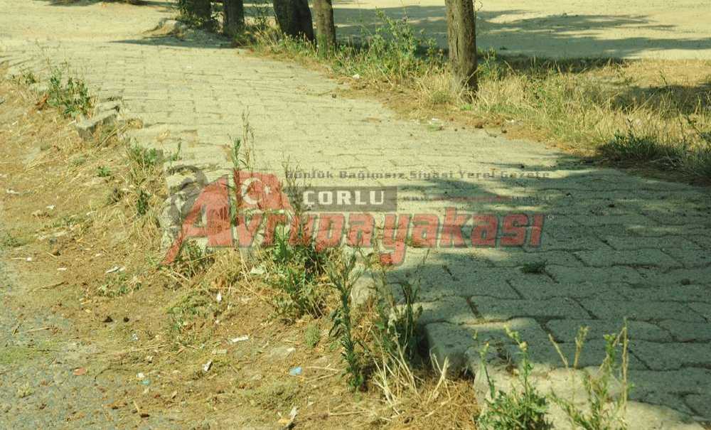 Kaldırımlarda Ki Bakımsızlık Tepki Çekiyor