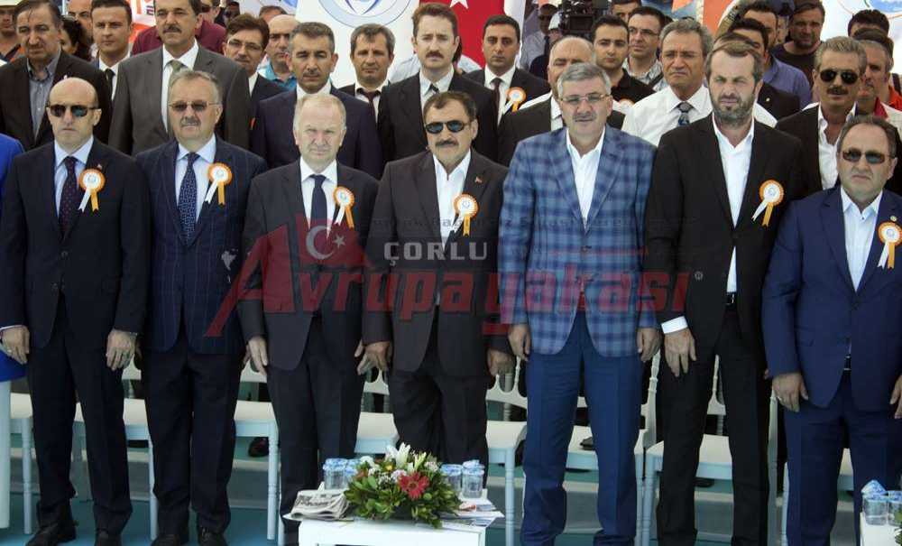 “Bu Bizim Bildiğimiz Köstebek, Anadolu Köstebeği”