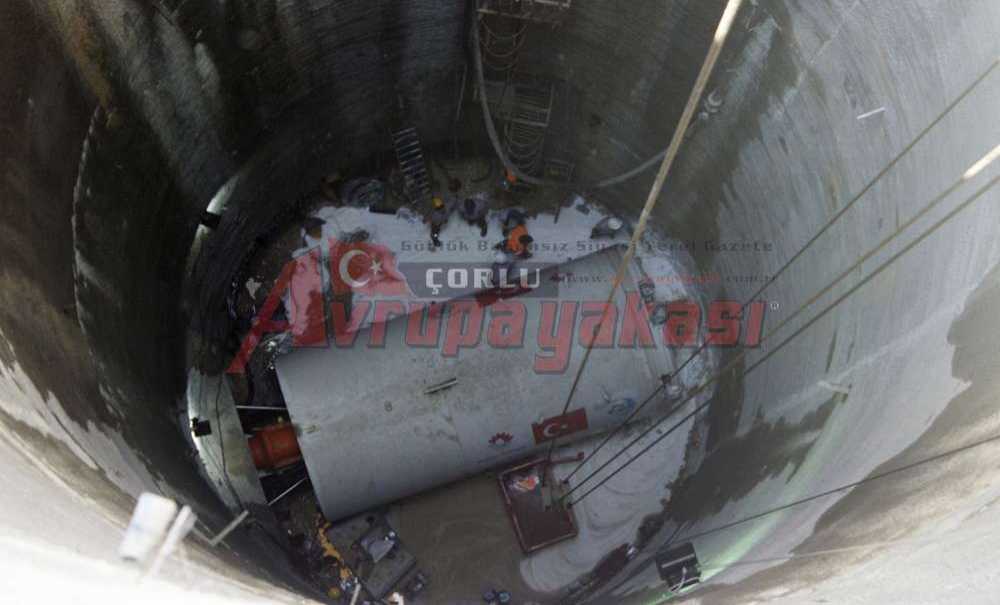 “Bu Bizim Bildiğimiz Köstebek, Anadolu Köstebeği”