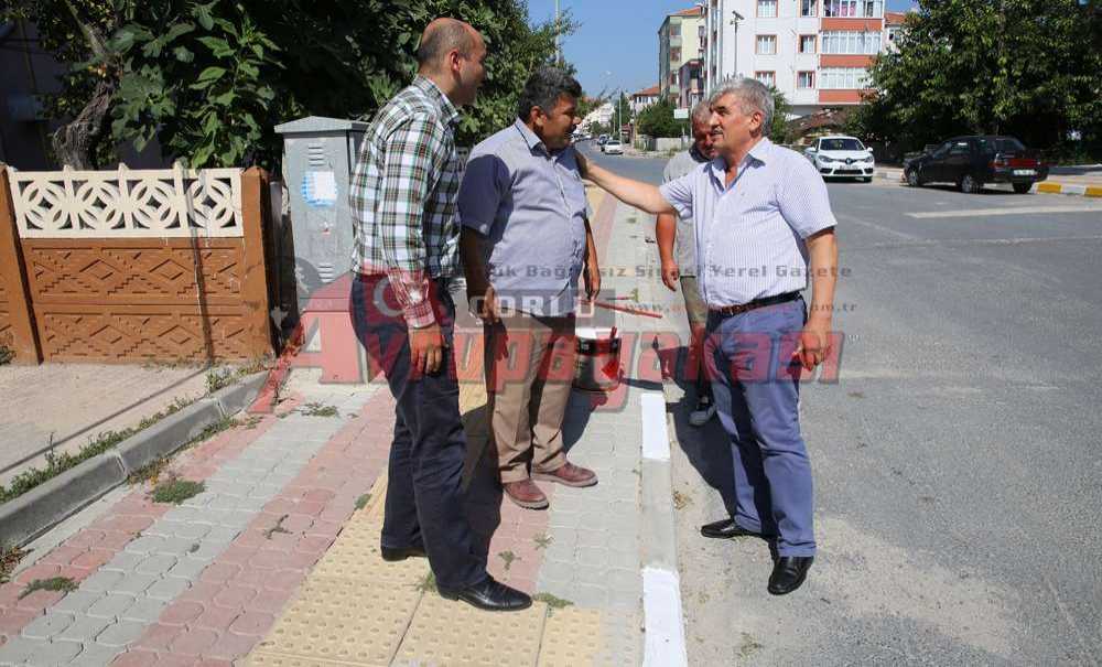 Kapaklı'da Bordür Taşları Boyanıyor