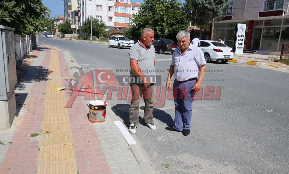Kapaklı'da Bordür Taşları Boyanıyor