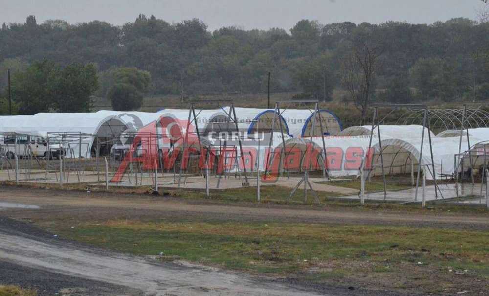 Ergene Kurban Bayramına Hazır