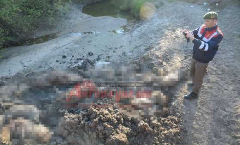 Bunu Yapan İnsan Olamaz