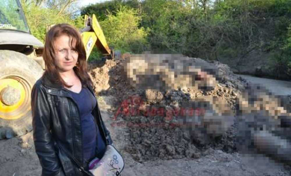 Bunu Yapan İnsan Olamaz