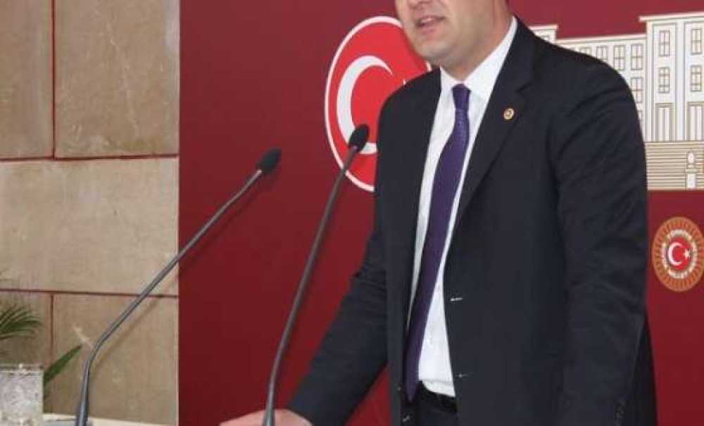 Köpek Katliamı Mı? Kısırlaştırma Mı?