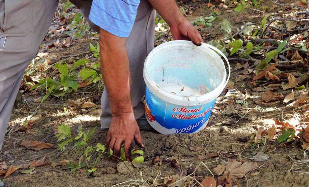 Çiftçinin Hırsızla Hikayesi Akıllara Durgunluk Getirdi