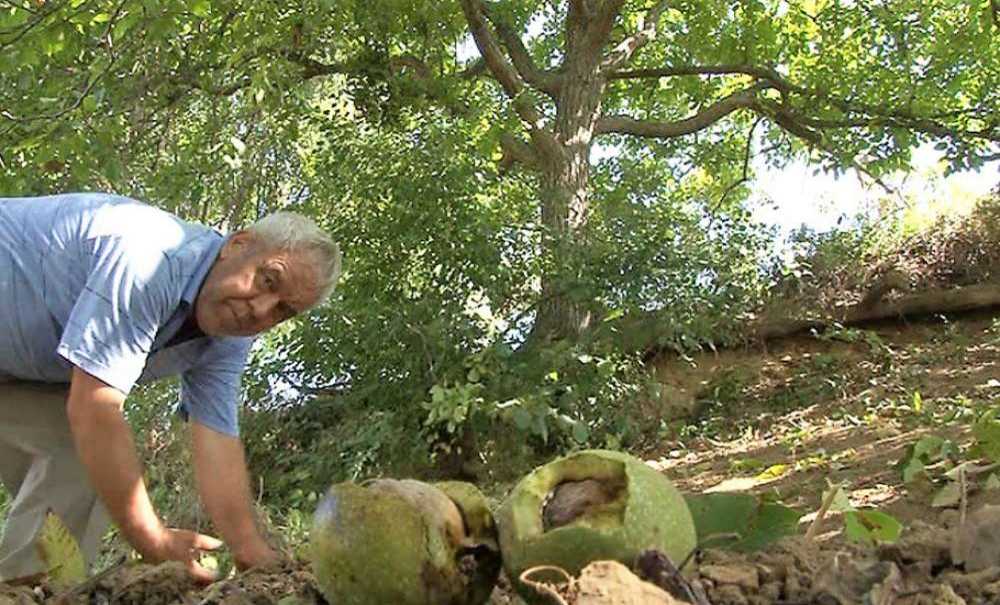 Çiftçinin Hırsızla Hikayesi Akıllara Durgunluk Getirdi