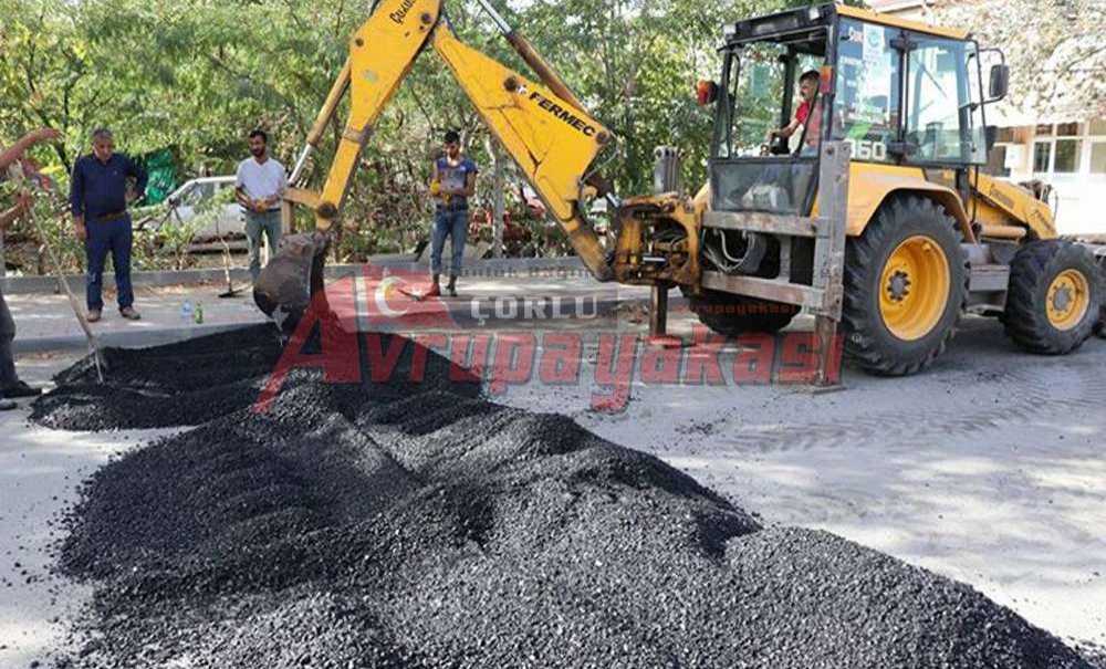 Ergene'de Kasis Çalışması