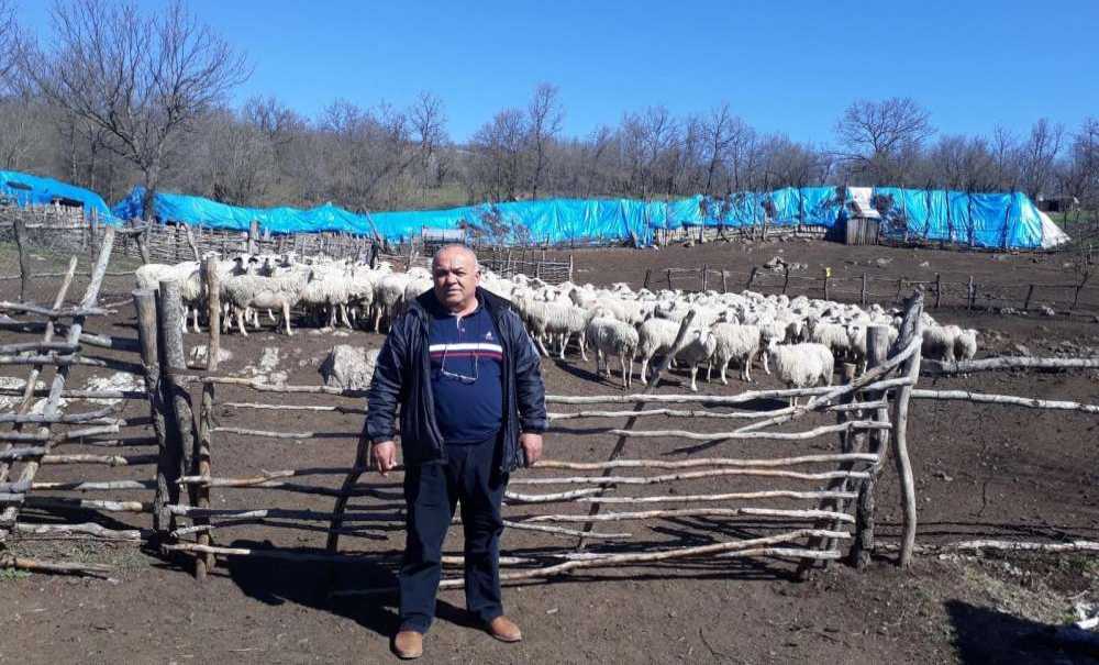 Anaç Koyun-Keçi Destekleme Başvuruları Devam Ediyor
