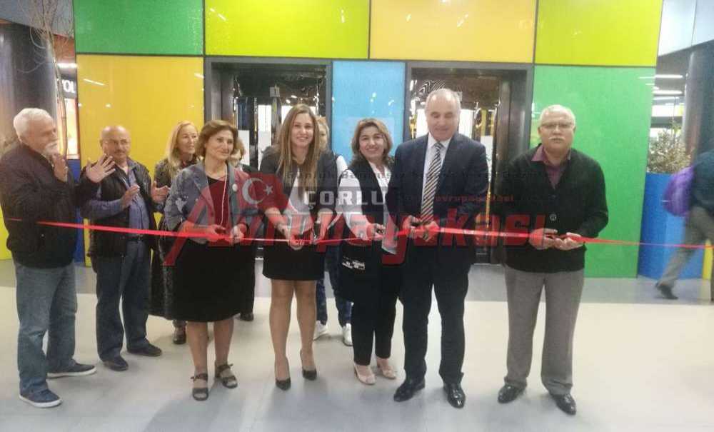 Emekli Öğretmen'den Yağlı Boya Sergisi