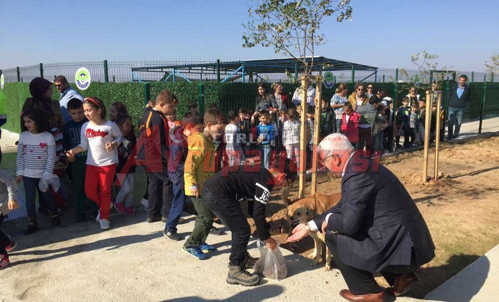 Ergene Belediyesi Barınağı, Minik Ziyaretçilerini Ağırladı