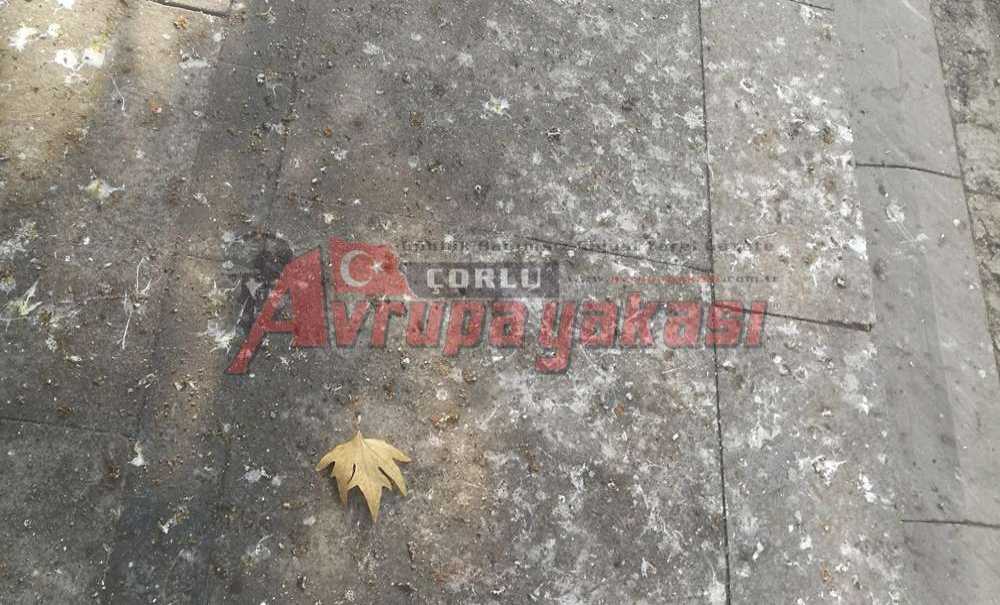 Omurtak Caddesi Bakım Bekliyor