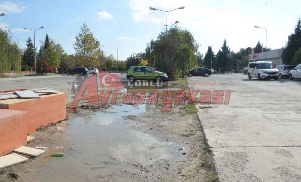 Şehitlik Yanı Bakım İstiyor