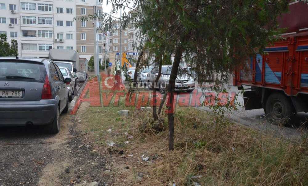 Şehitlik Yanı Bakım İstiyor