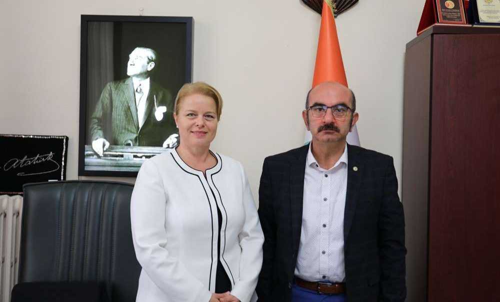 Dünya Diyabet Günü Etkinlikleri