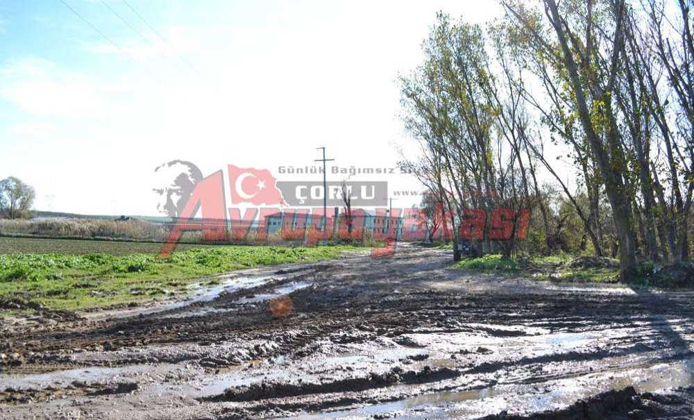 Arıtma Tesisi Yol Bekliyor