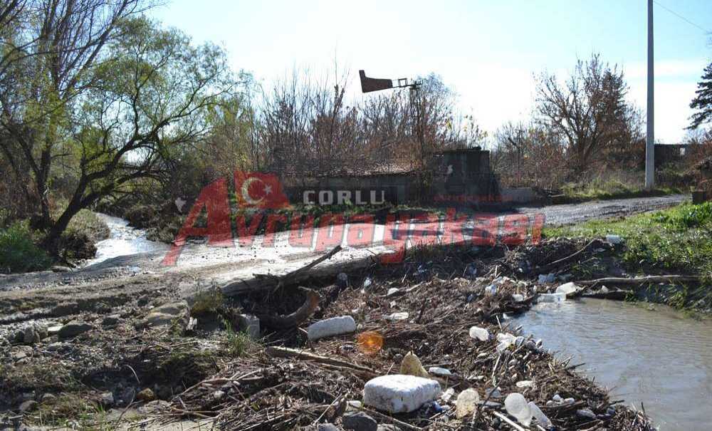 Arıtma Tesisi Yol Bekliyor