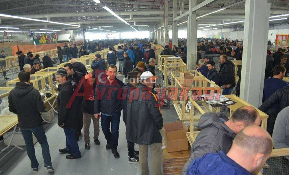 Türkiye'nin En Büyük Festivali Çorlu'da Gerçekleşti