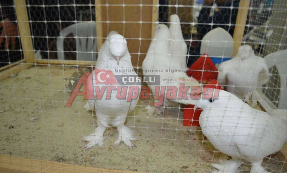 Türkiye'nin En Büyük Festivali Çorlu'da Gerçekleşti