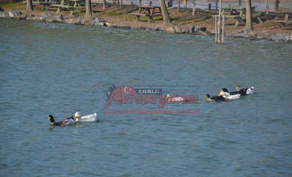 Sonbaharın Güzellikleri Gölbaşı Gençlik Parkı'na Yansıdı