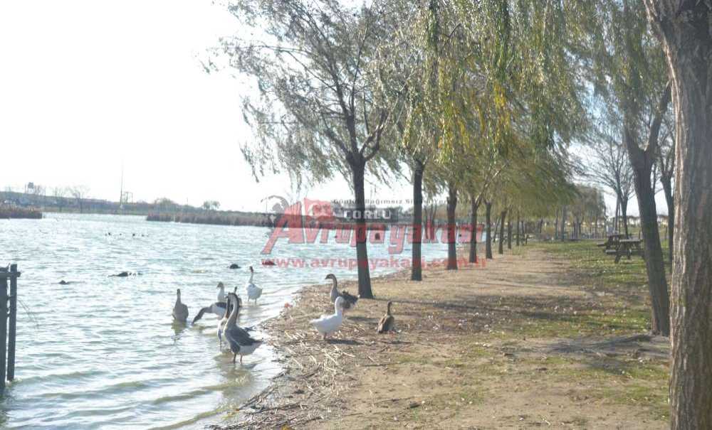 Sonbaharın Güzellikleri Gölbaşı Gençlik Parkı'na Yansıdı