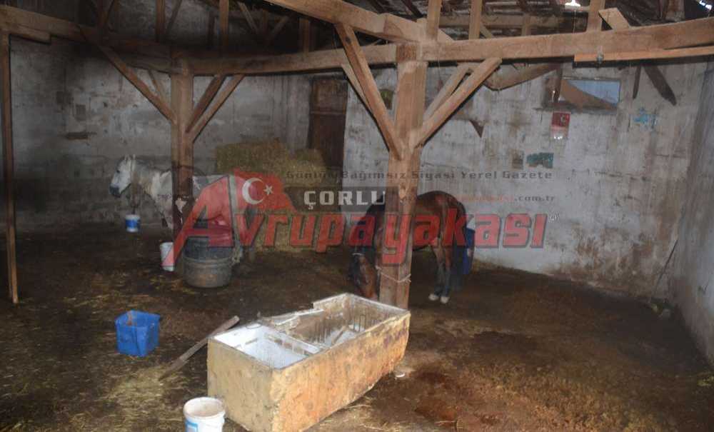 Mahalleli İlgisizlikten Şikayetçi