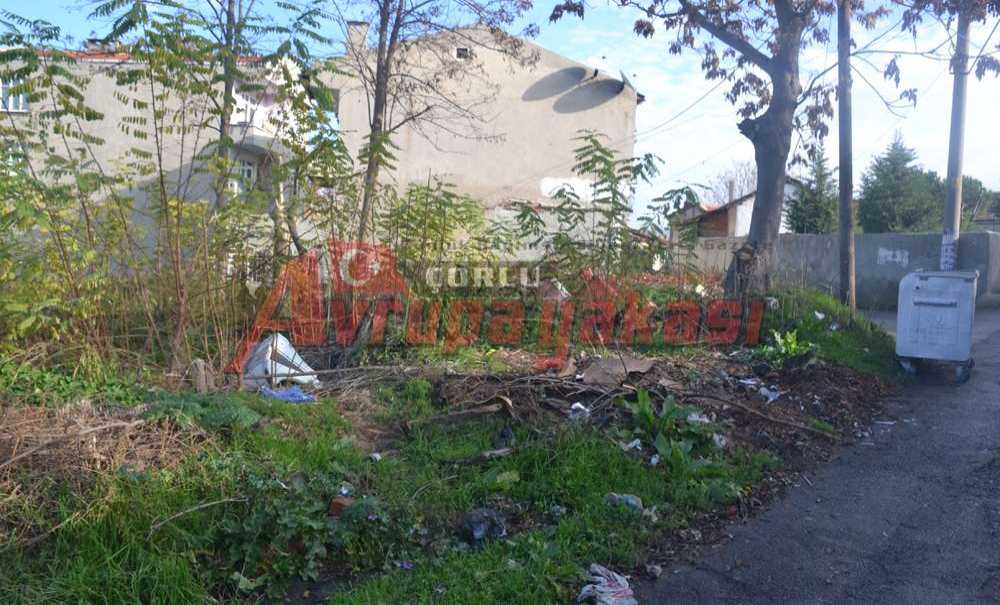 Mahalleli İlgisizlikten Şikayetçi