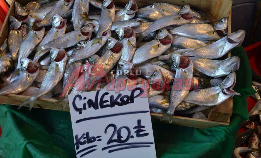 Balık Fiyatları El Yakıyor