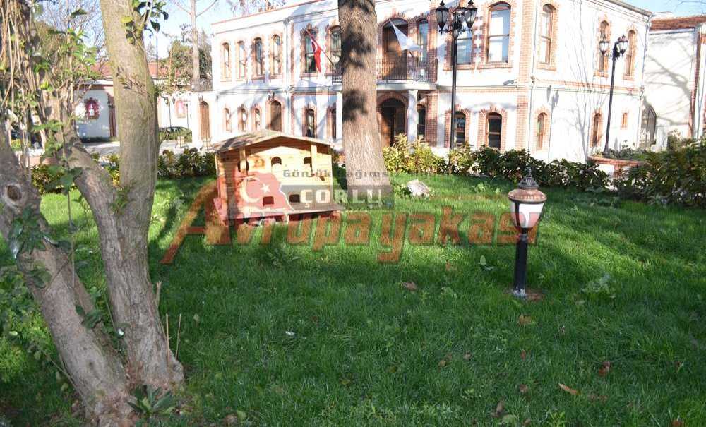 Kediler Ev Sahibi Oldu.