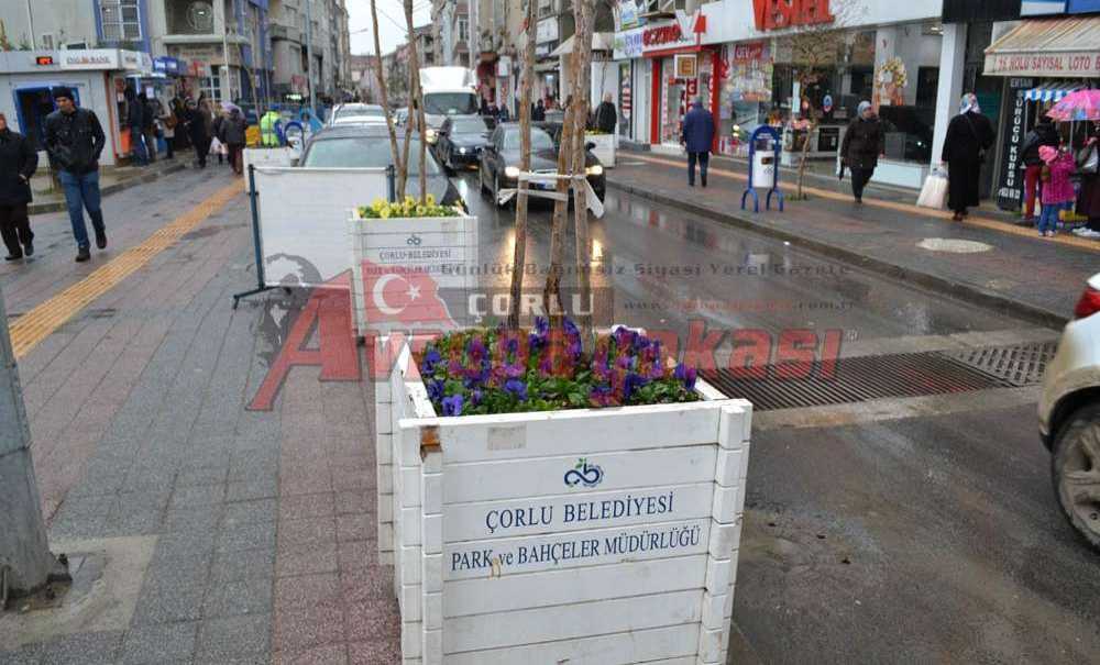 Çorlu'ya Kış Bitkileri Ekildi