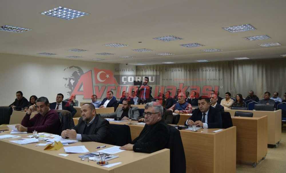 Hastanenin Yerine Kent Parkı Tartışması