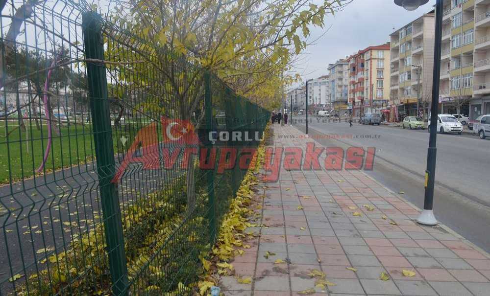 Yaprağını Döken Ağaçlar Renkli Görüntüler Oluşturdu