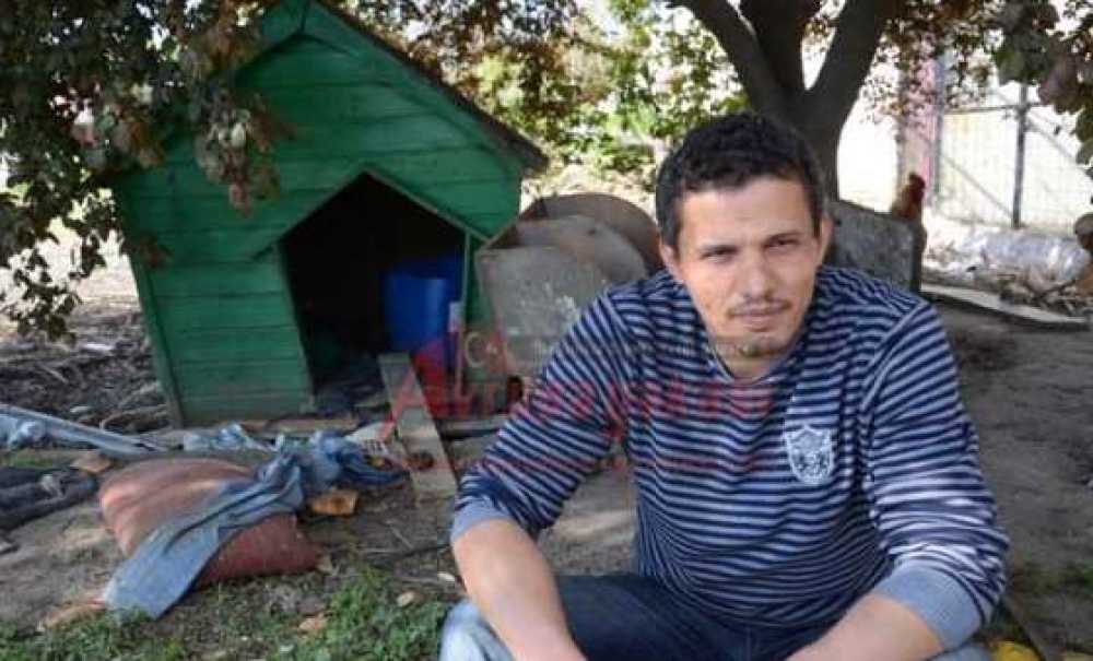 Tavuğun Annelik Yaptığı Köpeklerin Sahibi Konuştu