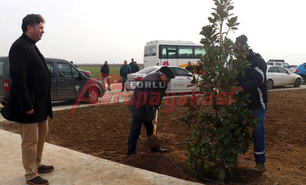 Trap Ve Skeet Sahasında Ağaç Dikimi Gerçekleştirildi